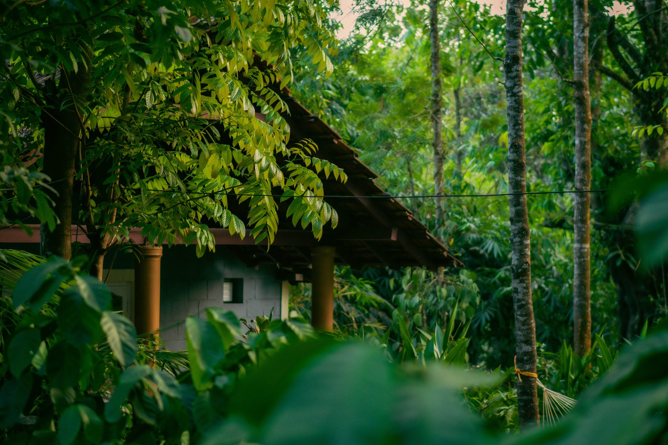 Best-known monsoon destinations in India