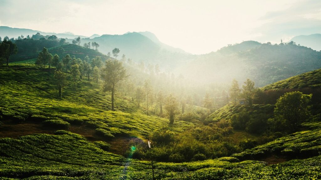 Best-known monsoon destinations in India