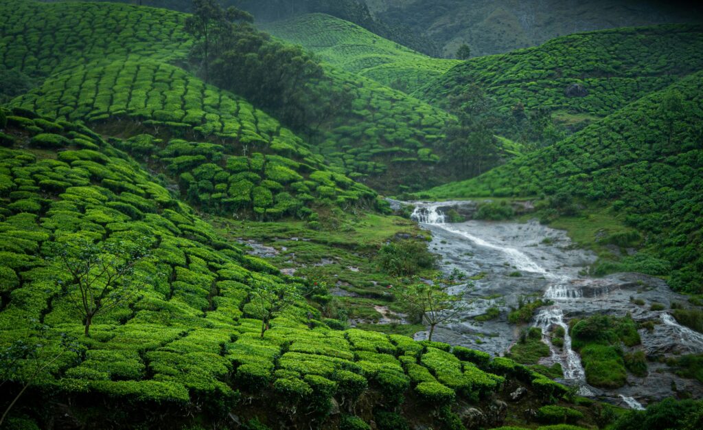 Best-known monsoon destinations in India