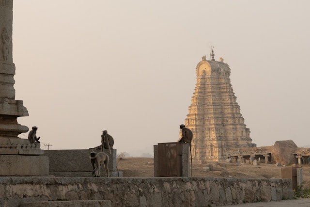 Top 10 Travel Destinations in India You Must Visit in 2025