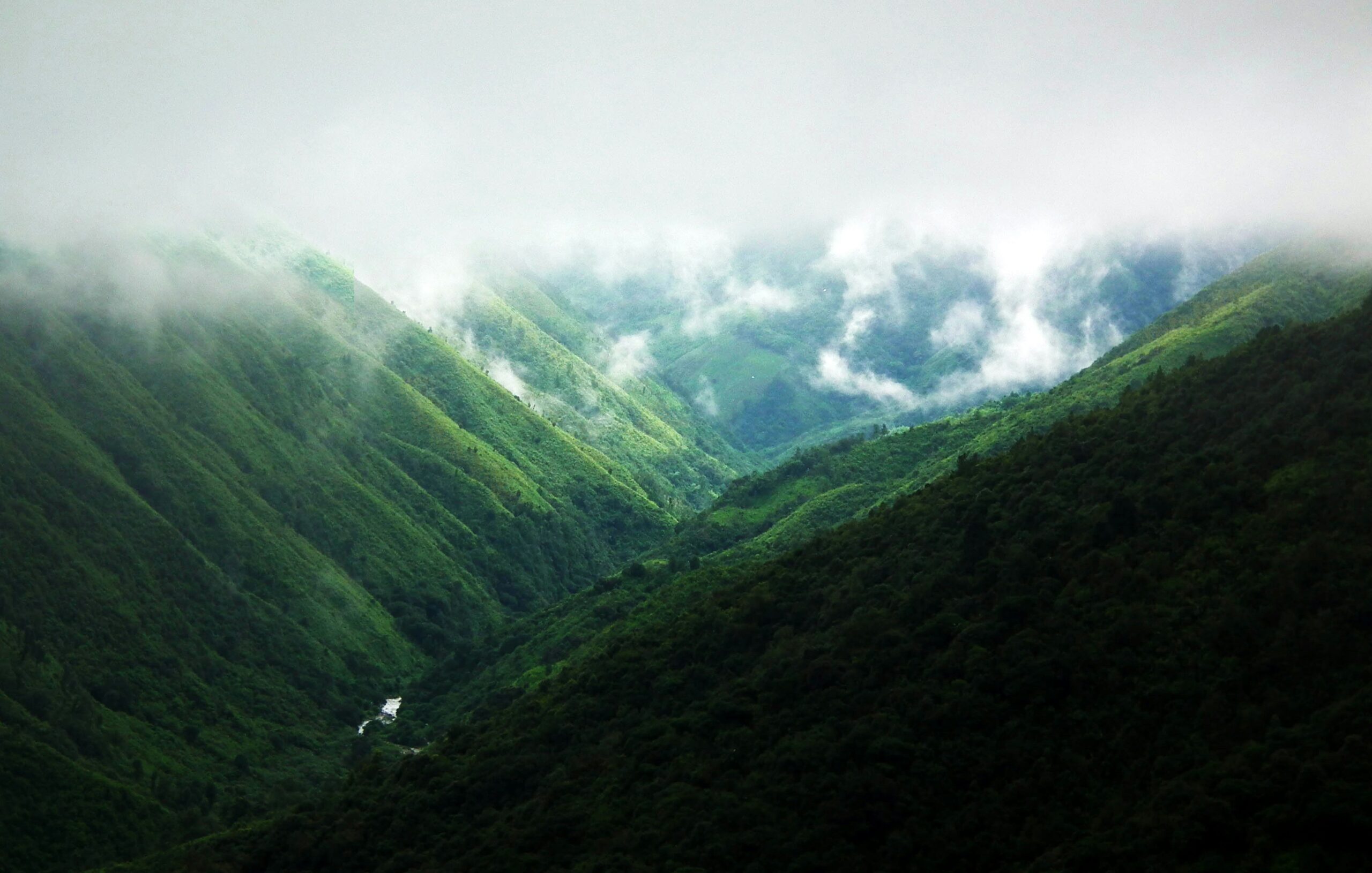 Best-known monsoon destinations in India