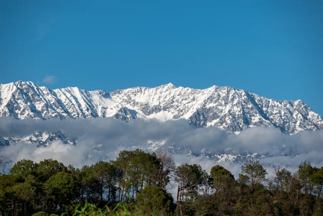 Solo Travel Guide to Himachal Pradesh