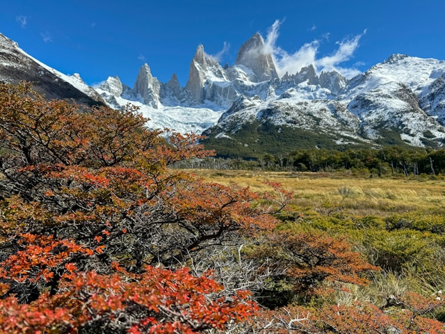 Torres del Paine